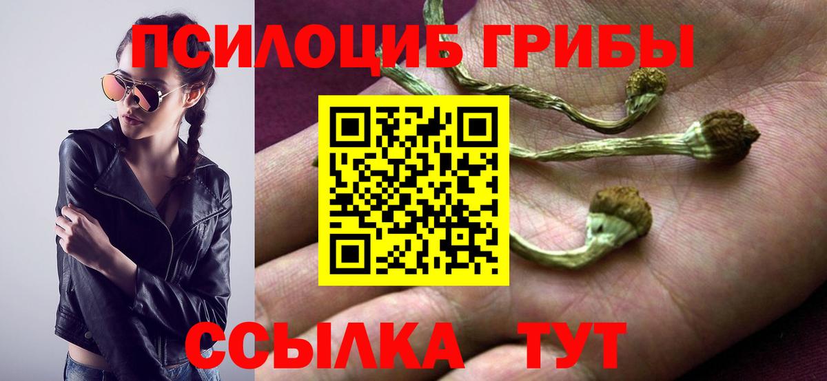 хочу   Вход с VPN  Анжеро-Судженск  Галлюциногенные грибы MAGIC MUSHROOMS 